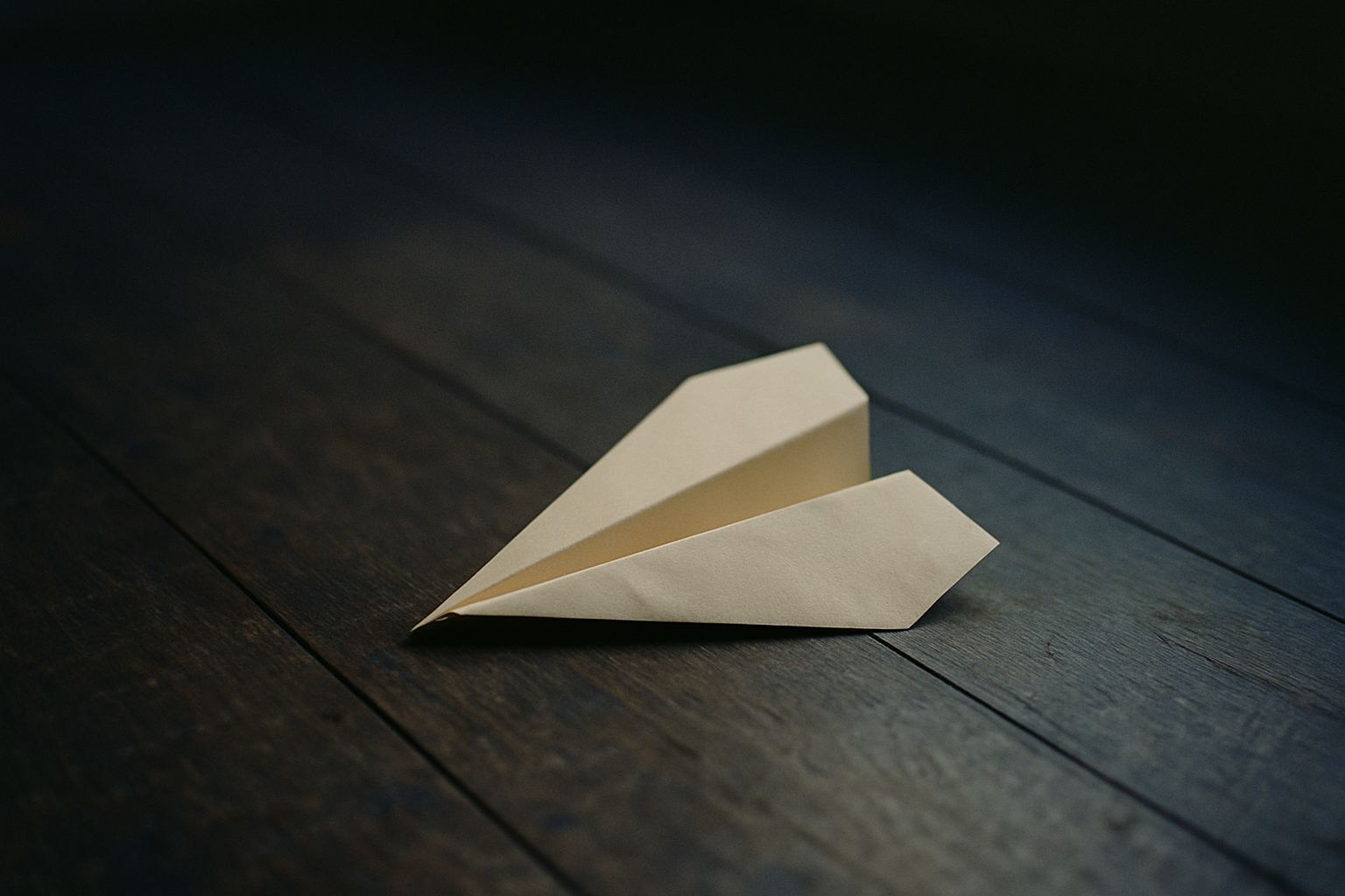 A paper aeroplane, folded by hand, resting where it landed.