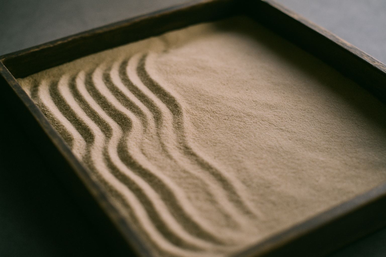 Sand disturbed and settled again, each pass leaving a different pattern.